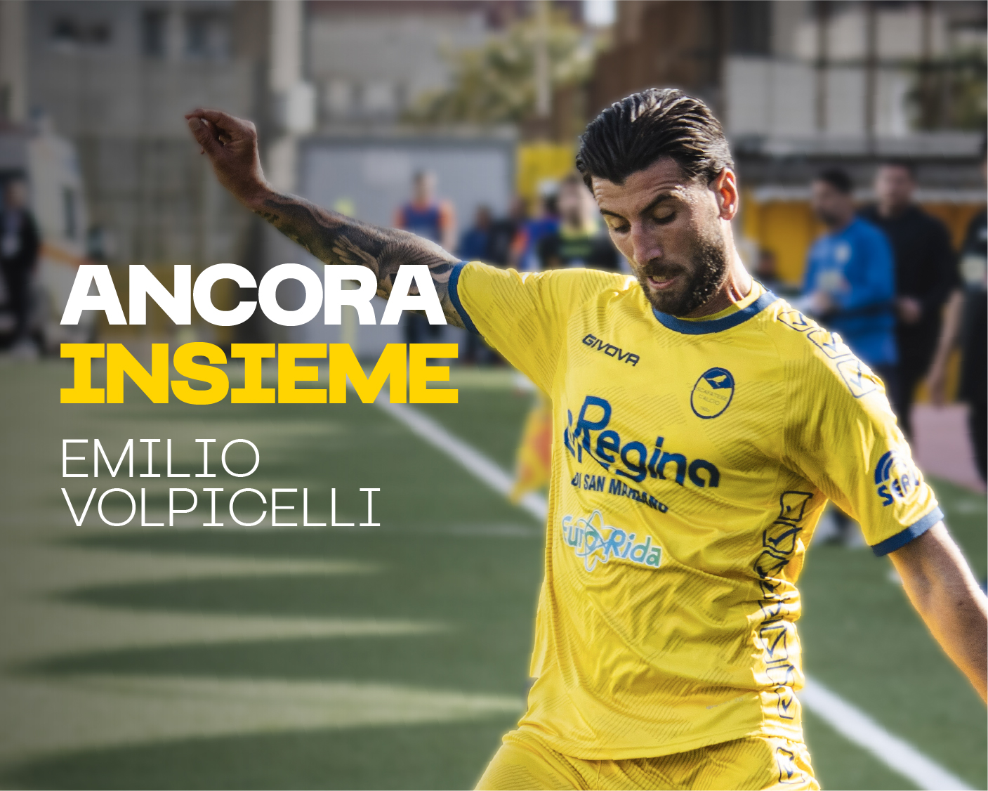 Volpicelli Web
